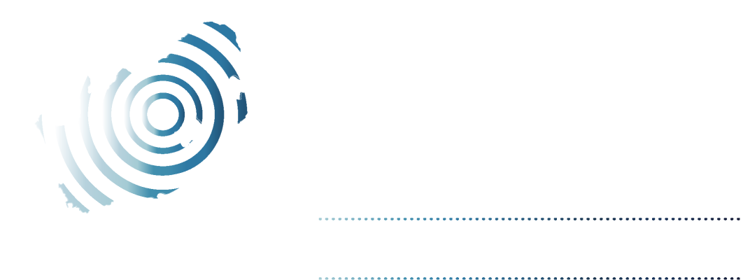 The South African Assembly